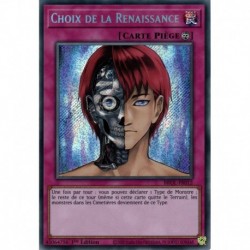 Choix de la Renaissance (STR) [BROL]