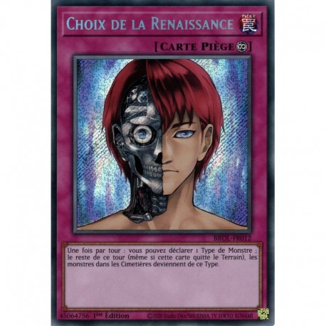 Choix de la Renaissance (STR) [BROL]