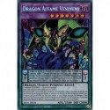 Dragon Affamé Veninemi (STR) [BROL]