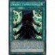 Double Exposition (STR) [BROL]