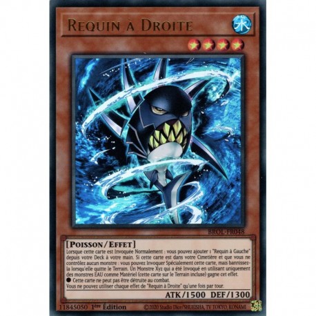 Requin à Droite (UR) [BROL]