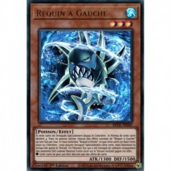 Requin à Gauche (UR) [BROL]