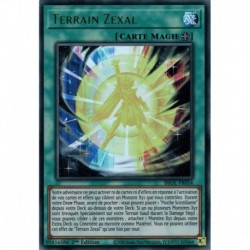 Terrain Zexal (UR) [BROL]