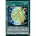 Terrain Zexal (UR) [BROL]