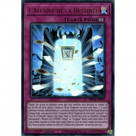 L'Affaire de la Destinée (UR) [BROL]