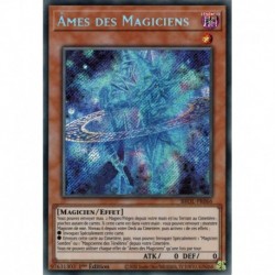 Âmes des Magiciens (STR) [BROL]