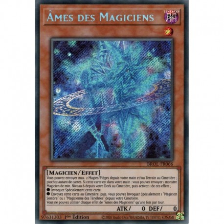 Âmes des Magiciens (STR) [BROL]