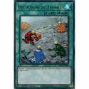 Recherche de Fossiles (UR) [BROL]