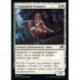 (FOIL) Blanche - Compagnon fougueux (C) [NEO]