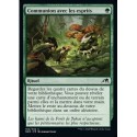(FOIL) Verte - Communion avec les esprits (C) [NEO]