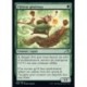 (FOIL) Verte - Visiteur généreux (U) [NEO]