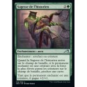 (FOIL) Verte - Sagesse de l'historien (U) [NEO]