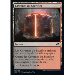 (FOIL) Terrain - Cavernes du sacrifice (C) [NEO]
