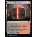 (FOIL) Terrain - Cavernes du sacrifice (C) [NEO]