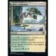 (FOIL) Terrain - Sables verdoyants (C) [NEO]