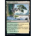 (FOIL) Terrain - Sables verdoyants (C) [NEO]