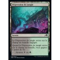 (FOIL) Terrain - Dépression de jungle (C) [NEO]