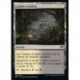 (FOIL) Terrain - Landes érodées (C) [NEO]