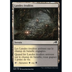 (FOIL) Terrain - Landes érodées (C) [NEO]