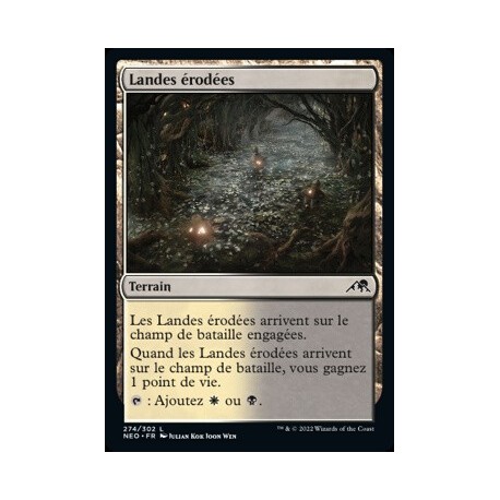 (FOIL) Terrain - Landes érodées (C) [NEO]