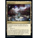 (FOIL) Terrain - Cour retirée (U) [NEO]