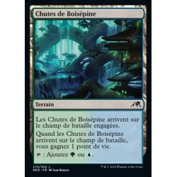 (FOIL) Terrain - Chutes de boisépine (C) [NEO]