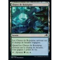 (FOIL) Terrain - Chutes de boisépine (C) [NEO]