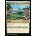 (FOIL) Terrain - Havre inexploré (C) [NEO]