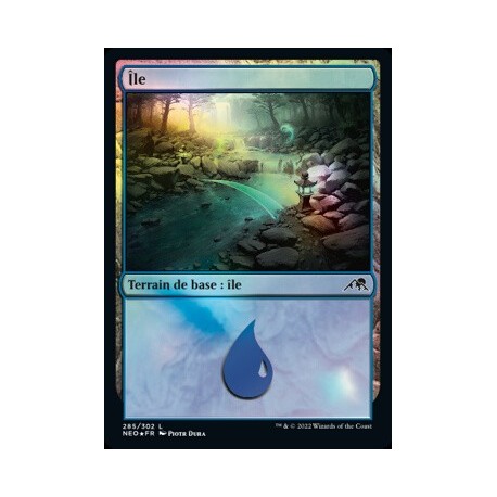 (FOIL) Terrain - Île (V1) (L) [NEO]