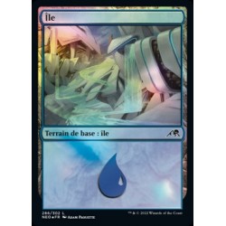 (FOIL) Terrain - Île (V2) (L) [NEO]