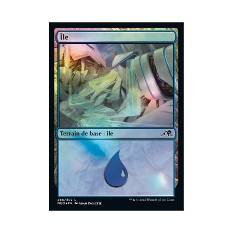 (FOIL) Terrain - Île (V2) (L) [NEO]