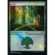 (FOIL) Terrain - Forêt (V1) (L) [NEO]