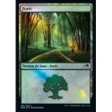 (FOIL) Terrain - Forêt (V1) (L) [NEO]