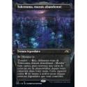 (FOIL) Noire - (ALT) Takenuma, marais abandonné (R) [NEO]