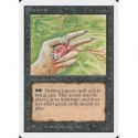 Noire - Deathgrip (U) [UNLIM] Grading : Good +