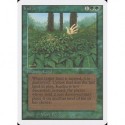 Verte - Kudzu (R) [UNLIM] Grading : Excellent