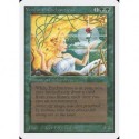 Verte - Verduran Enchantress (R) [UNLIM] Grading : Excellent