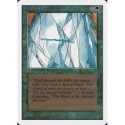 Verte - Wall of Ice (U) [UNLIM] Grading : Excellent -