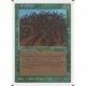 Verte - Wall of Wood (C) [UNLIM] Grading : Good