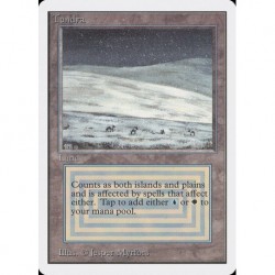 Land - Tundra (R) [UNLIM] Grading : Excellent +