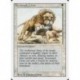 Blanche - Savannah Lions (R) [REVISED] Grading : Good +