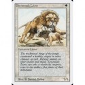 Blanche - Savannah Lions (R) [REVISED] Grading : Good +