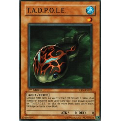 T.A.D.P.O.L.E. (C)