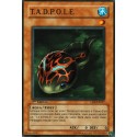 T.A.D.P.O.L.E. (C) [CRV]
